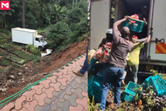 The lorry carrying bread that overturned and people taking bread fro the lorry