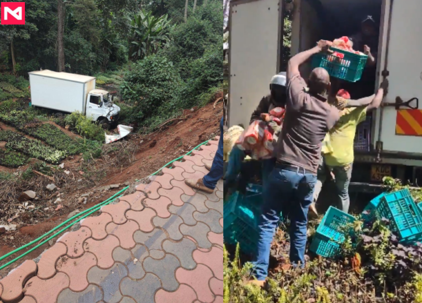 The lorry carrying bread that overturned and people taking bread fro the lorry