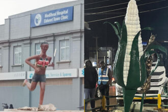 Statue of unidentified athlete and green maize in Eldoret