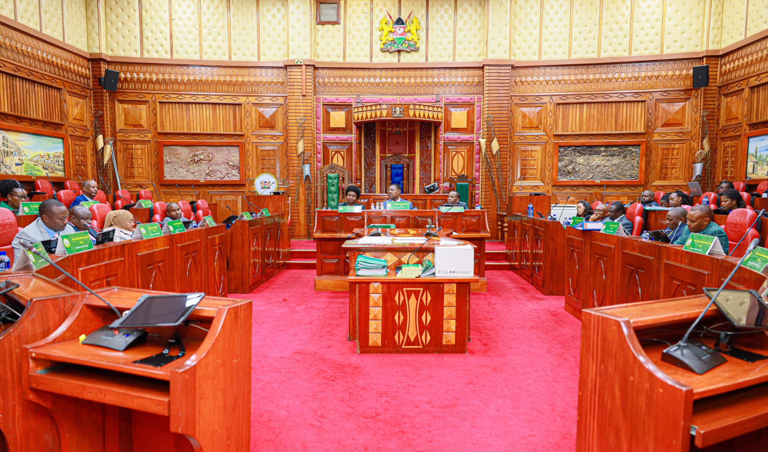 The National Assembly