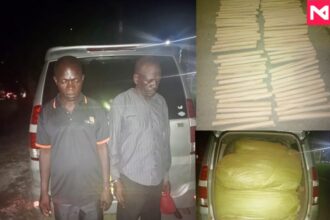 2 suspects caught with 450kg of bhang in Mariakani, Mombasa county