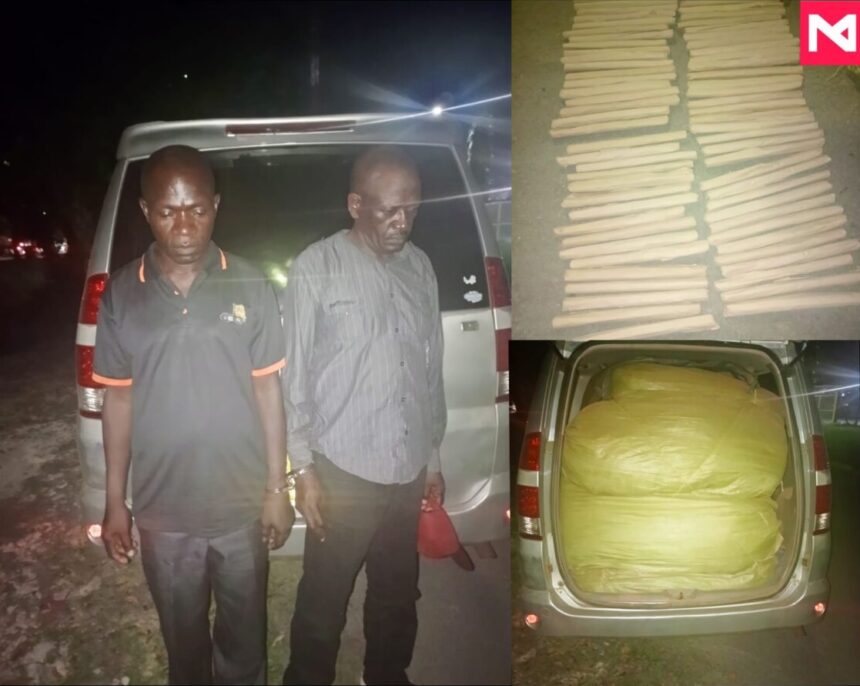 2 suspects caught with 450kg of bhang in Mariakani, Mombasa county