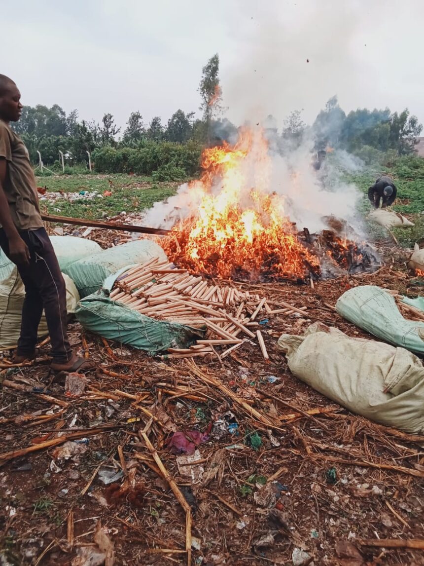 Bhang being burnt at the Alupe dumpsite in Busia PHOTO | @NACADAKenya