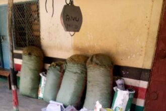 DCI sieze Cannabis Sativa worth 2.5 million in Malindi Kilifi county PHOTO| @DCI_Kenya