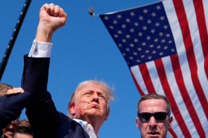 Donald Trump Fist Image