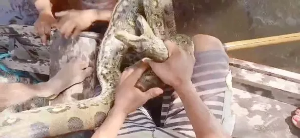 The man being helped to remove the Anaconda around him PHOTO| The Mirror